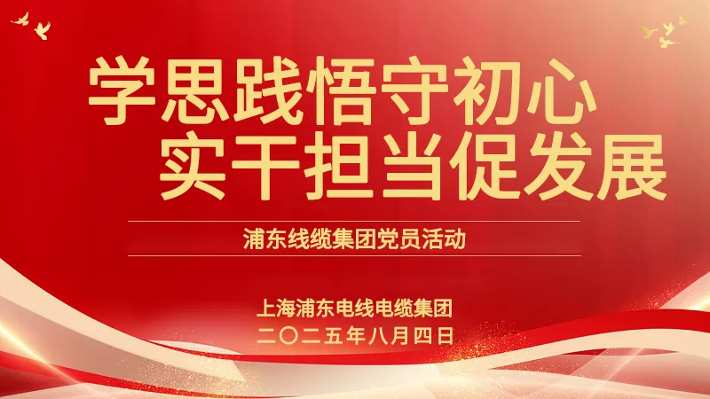 党员活动 | UG环球线缆集团：学思践悟守初心，实干担当促发展